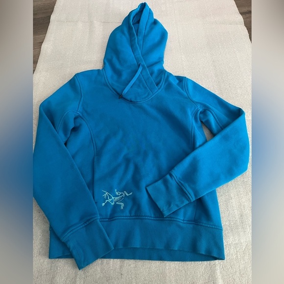 [M]Arcteryx Blue Detente Hoodie Logo Brand WMN Gorpcore Y2K - Picture 2 of 8